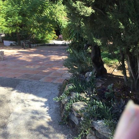 Finca El Rio, The Studio Self Catering With Pool And Hydrotherapy Jacuzzi Set In Beautiful Gardens, Гваро Экстерьер фото