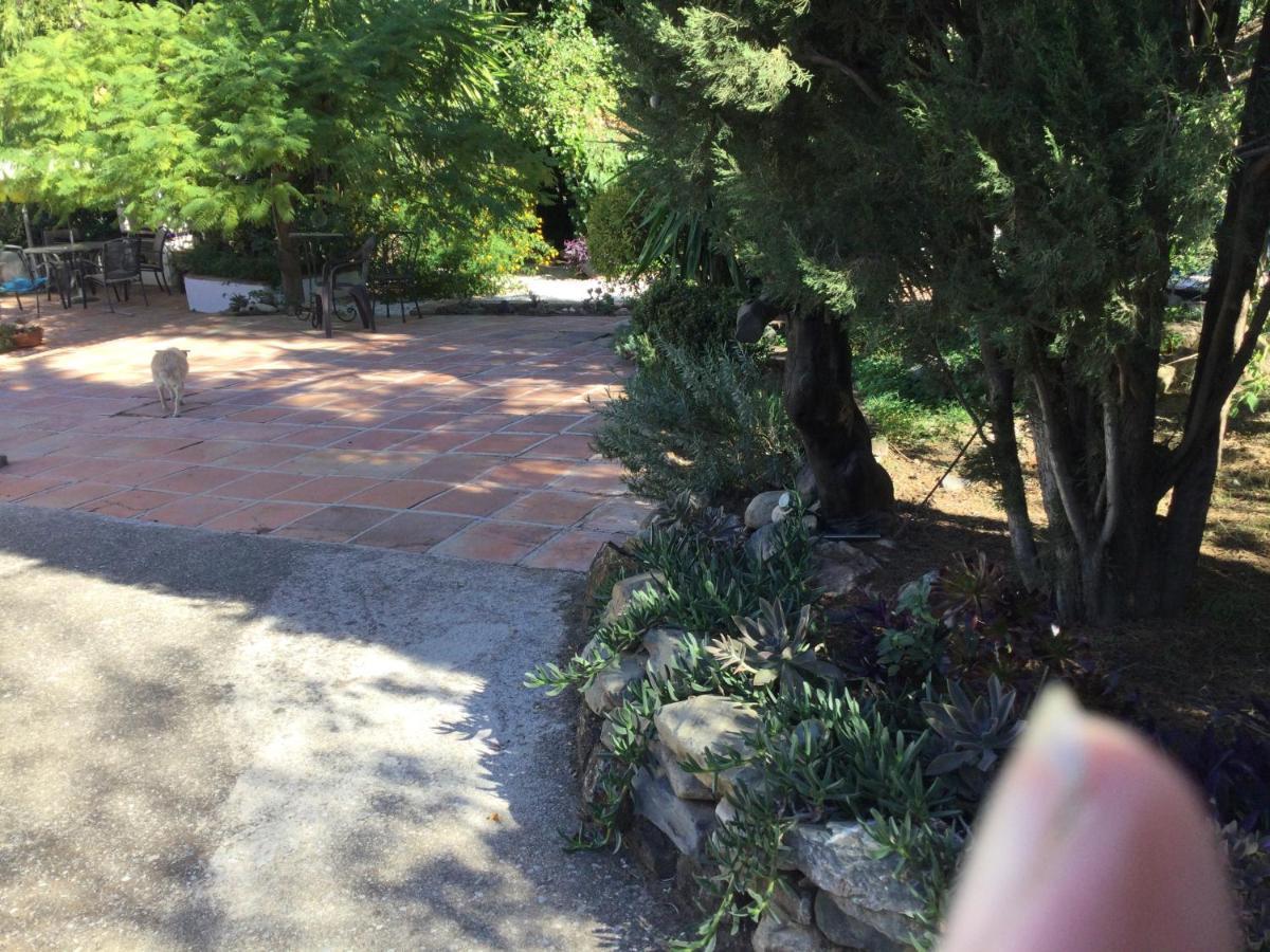 Finca El Rio, The Studio Self Catering With Pool And Hydrotherapy Jacuzzi Set In Beautiful Gardens, Гваро Экстерьер фото