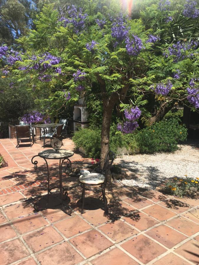 Finca El Rio, The Studio Self Catering With Pool And Hydrotherapy Jacuzzi Set In Beautiful Gardens, Гваро Экстерьер фото